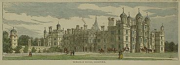 Detailed image. Please click to enlarge