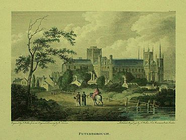 Detailed image. Please click to enlarge