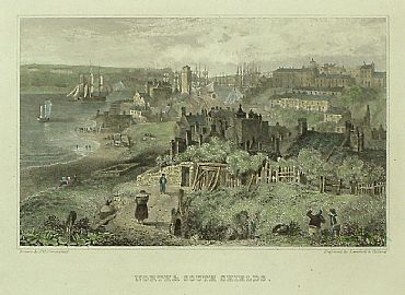 Detailed image. Please click to enlarge
