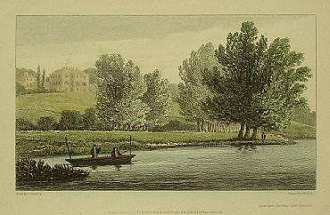 Detailed image. Please click to enlarge