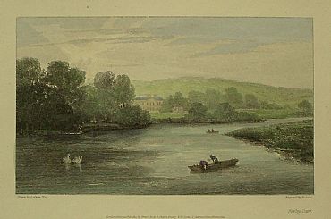 Detailed image. Please click to enlarge