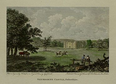 Detailed image. Please click to enlarge