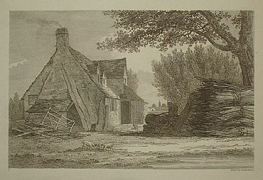 Detailed image. Please click to enlarge