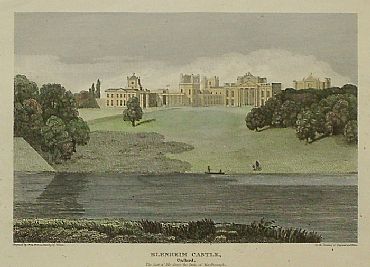 Detailed image. Please click to enlarge