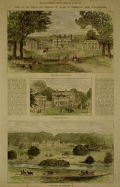 Detailed image. Please click to enlarge