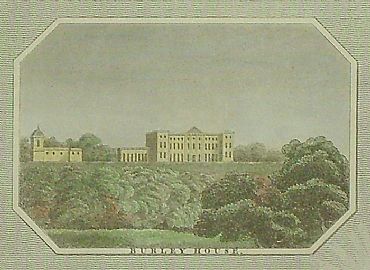 Detailed image. Please click to enlarge