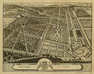 Detailed image. Please click to enlarge