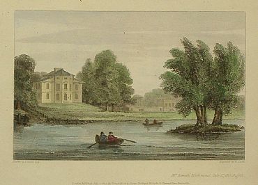 Detailed image. Please click to enlarge