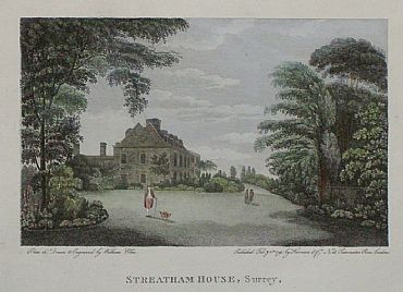 Detailed image. Please click to enlarge