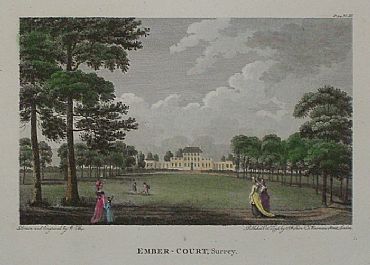 Detailed image. Please click to enlarge
