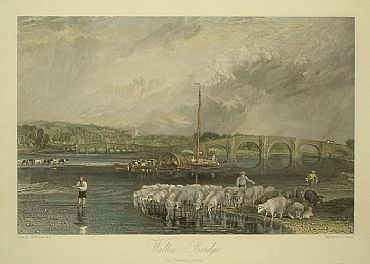 Detailed image. Please click to enlarge