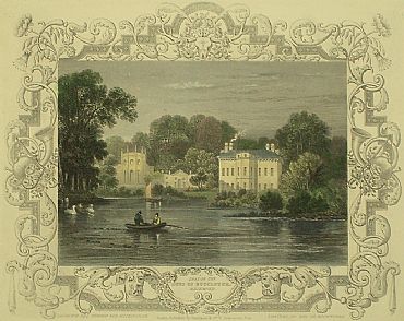 Detailed image. Please click to enlarge