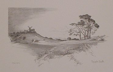 Detailed image. Please click to enlarge