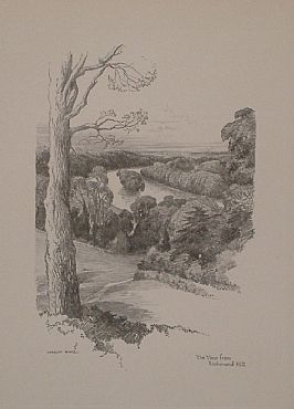 Detailed image. Please click to enlarge