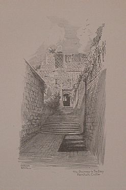 Detailed image. Please click to enlarge