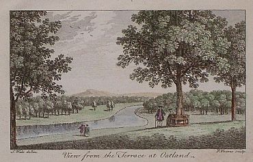 Detailed image. Please click to enlarge
