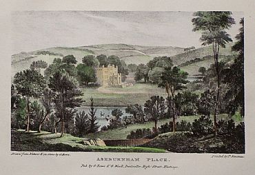 Detailed image. Please click to enlarge