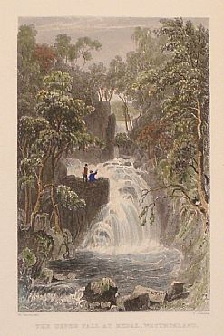 Detailed image. Please click to enlarge