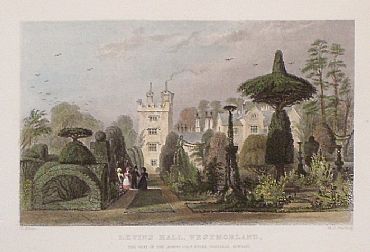 Detailed image. Please click to enlarge