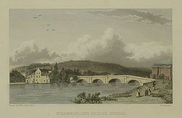 Detailed image. Please click to enlarge