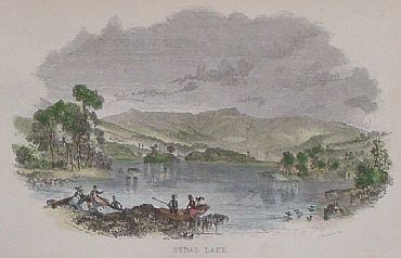 Detailed image. Please click to enlarge