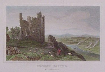 Detailed image. Please click to enlarge