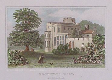Detailed image. Please click to enlarge