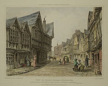 Detailed image. Please click to enlarge