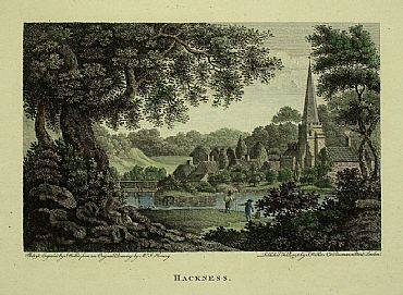 Detailed image. Please click to enlarge