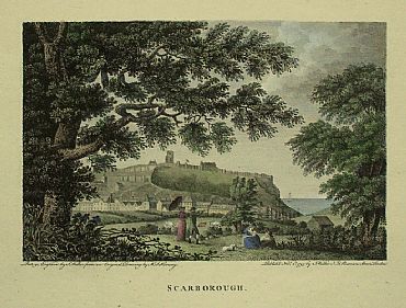 Detailed image. Please click to enlarge