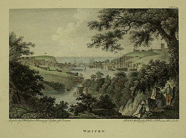 Detailed image. Please click to enlarge