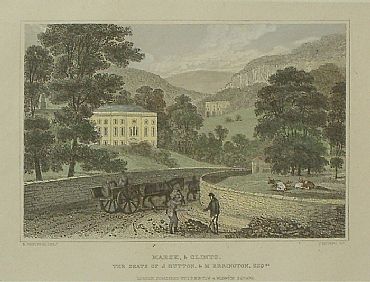Detailed image. Please click to enlarge