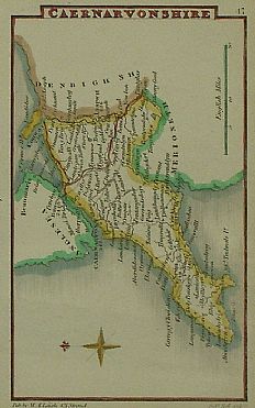 Detailed image. Please click to enlarge