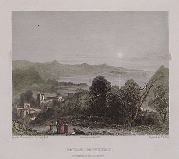 Detailed image. Please click to enlarge