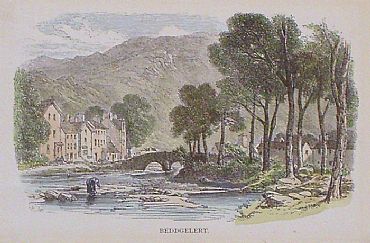 Detailed image. Please click to enlarge