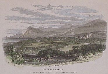 Detailed image. Please click to enlarge
