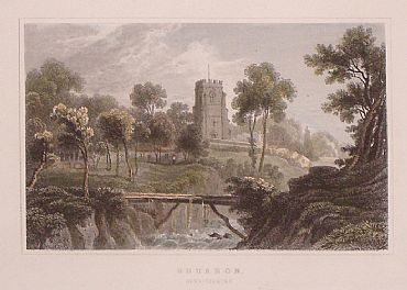 Detailed image. Please click to enlarge