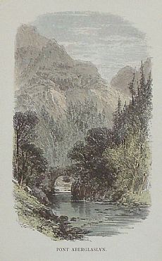 Detailed image. Please click to enlarge