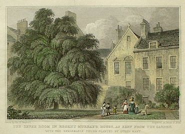 Detailed image. Please click to enlarge