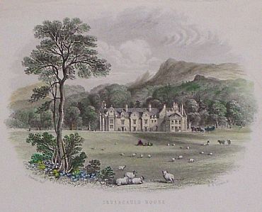 Detailed image. Please click to enlarge