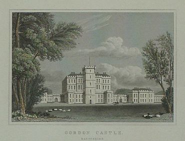Detailed image. Please click to enlarge