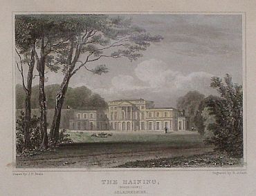 Detailed image. Please click to enlarge