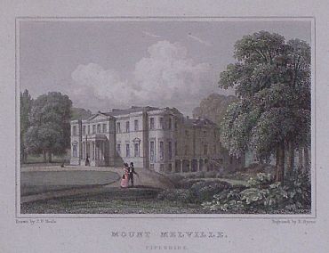 Detailed image. Please click to enlarge
