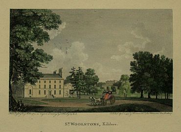 Detailed image. Please click to enlarge