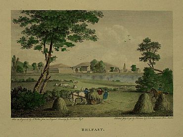 Detailed image. Please click to enlarge