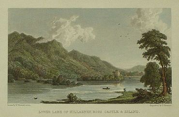 Detailed image. Please click to enlarge