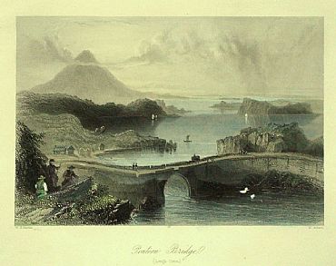 Detailed image. Please click to enlarge