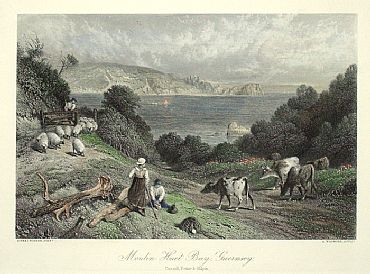 Detailed image. Please click to enlarge