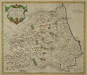 Detailed image. Please click to enlarge