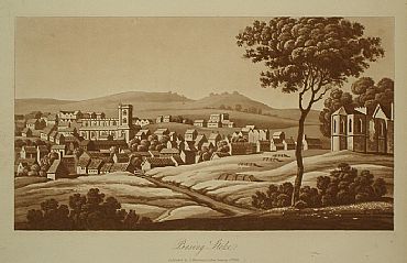 Detailed image. Please click to enlarge